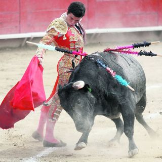De los Toros con Verdad, por Francisco Baruqui