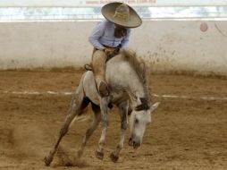 Las manganas a caballo llamaron la atención de los asistentes. S.NUÑEZ  /