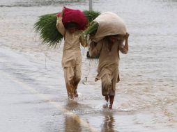 Aunque los ríos descendieron, el peligro amenaza a la provincia de Sindh. AP  /
