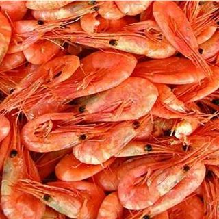 Inspeccionará EU flota camaronera en septiembre: Sagarpa