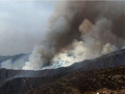 Decenas de bomberos trabajan para extinguir este incendio en España. AFP  /