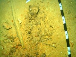 Los huesos se encuentran muy frágiles debido a que pasaron miles de años en agua alcalina. EL UNIVERSAL  /