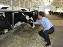 El gobierno de Rusia toma decisiones para aliviar la crisis de la agricultura. AFP  /