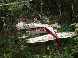 Dos diputados federales y un legislador local electo fallecieron en un accidente aéreo en Oaxaca. REUTERS  /