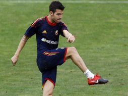Cesc Fábregas durante un entrenamiento con la Selección española. REUTERS  /