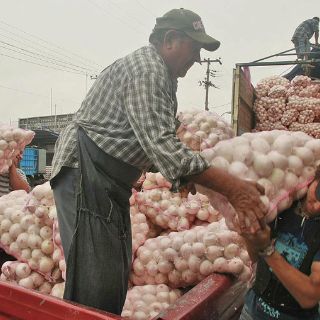 Planean construcción de centro logístico y mercado de  abastos en Puerto Vallarta
