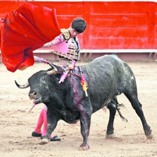 De los Toros con Verdad, por Francisco Baruqui