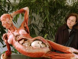 Los boletos para la exposición pueden adquirirse en Ticketmaster o taquillas del Museo Universum. AFP  /