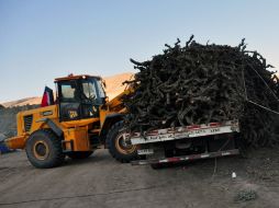 Ocurrió cerca de la mina San José. AFP  /