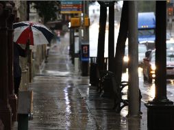 'Hermine' provoca precipitaciones en Tamaulipas, México; y Texas, Estados Unidos. AP  /