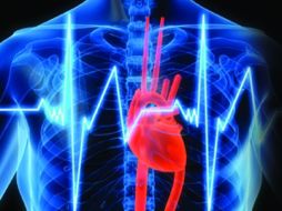 Aunado a la carga laboral esta además la condición física de las personas. ESPECIAL  /