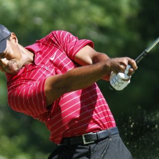 Tiger no se pierde la Copa Ryder