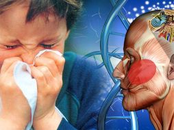 Un foco de alarma en un infante es cuando no tiene tejido linfoide adecuado. ID  /