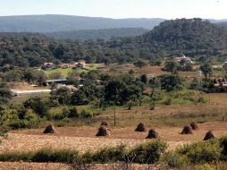Los 20 millones servirán para diferentes programas que beneficiarán al pulmón de la ciudad. ARCHIVO  /