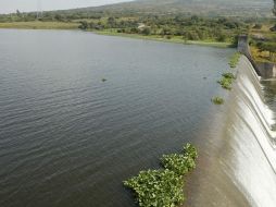 Siete de las 52 presas más importantes del estado superan 100 por ciento de su capacidad . ARCHIVO  /