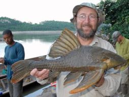 Esta especie de pez que come madera ya era conocida con el nombre de carachama gigante. ESPECIAL  /