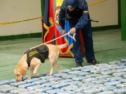 Autoridades colombianas detectaron el vinculo de cárteles mexicanos y las FARC para proveerse de drogas. EFE  /