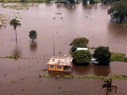 Los activistas han pedido apoyo material o económico en su página web. NOTIMEX  /