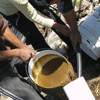 Jóvenes mazahuas generan energía con abono bovino