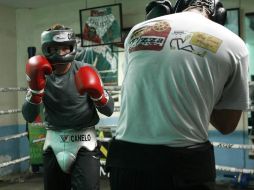 Saúl ‘‘Canelo’’ Álvarez se enfrentará el sábado al argentino Carlos Baldomir. M. FREYRÍA  /