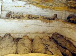 Hawas indicó que el habitáculo está en un buen estado de conservación. ESPECIAL  /