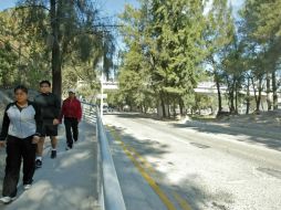 El “Árbol del Bicentenario” será plantado en el camellón de Avenida Patria, frente a Los Colomos. E. BARRERA  /