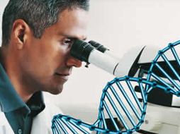 Pretenden fortalecer las relaciones comerciales y económicas en ese campo. ESPECIAL  /