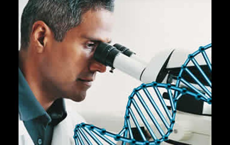 Pretenden fortalecer las relaciones comerciales y económicas en ese campo. ESPECIAL  /