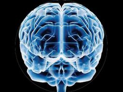 El estudio fue realizado en 32 voluntarios que se sometieron a escáneres cerebrales y test psicológicos. ESPECIAL  /
