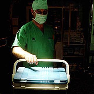 Desarrollan método que prolonga la vida de los órganos para trasplantes