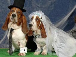 La diseñadora dijo que la demanda de sus productos está aumentando. ESPECIAL  /