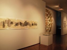 Tras su exhibición en el Museo Mural Diego Rivera, la exposición 'Nómadas' viajará a Oaxaca. ESPECIAL  /