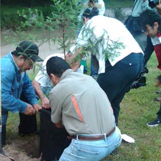 La Conafor planta  ‘Árboles del Centenario’