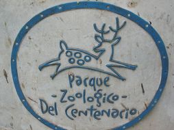 Fotografías, textos y demás artículos fueron removidos de debajo de un árbol de zapote. ESPECIAL  /