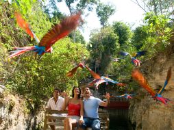 El misterio, la cultura y las representaciones prehispánicas son el cierre perfecto de cada día en el parque.ESPECIAL  /
