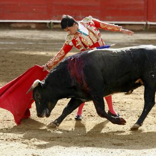 De los toros... con verdad por Francisco Baruqui