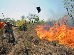 Bomberos combaten un incendio de grandes proporciones que está consumiendo parte del Parque Nacional de Brasilia. AFP  /