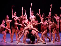 La labor de este taller es crear audiencias y formarlas en la apreciación de la belleza. TCUNAM.GOB  /