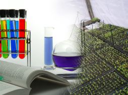 En los últimos años ha quedado demostrada la importancia de incluir a la biotecnología. ID  /