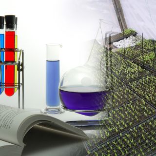 Inicia foro de innovación biotecnológica