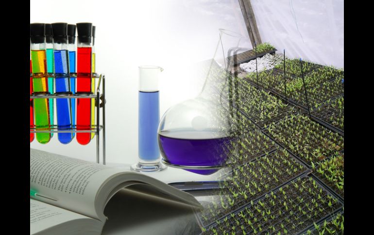 En los últimos años ha quedado demostrada la importancia de incluir a la biotecnología. ID  /