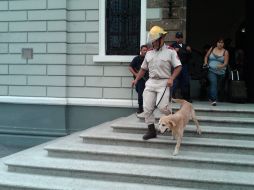 En la imagen, un bombero sale de la Rectoría de la UdeG acompañado de un sabueso. R. ZAPATA  /