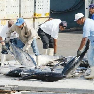 Pide EU panel en TLCAN para resolver disputa con México sobre atún