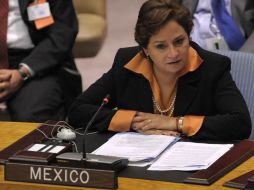 La secretaria de Relaciones Exteriores, Patricia Espinosa, en la ONU. EFE  /