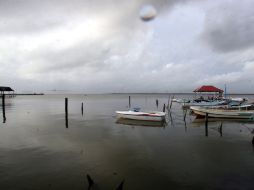 Reyes Luján dijo además que es necesario continuar con los procesos para reducir la emisión de gases de efecto invernadero. EFE  /