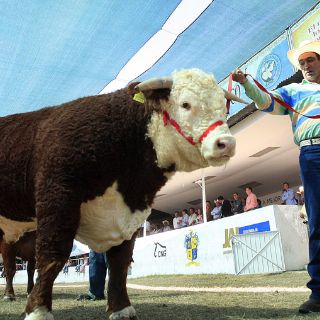 Aumentan atractivos en la Expo Ganadera 2010