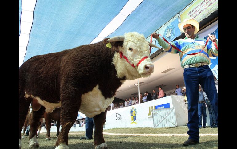 El primero de octubre comienza la Expo Ganadera. S. NÚÑEZ  /