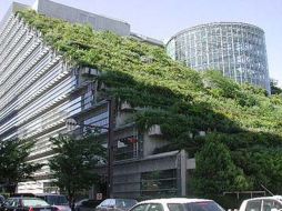 Las plantas retienen la lluvia y absorben las temperaturas ambientales en las oficinas situadas debajo. ESPECIAL  /