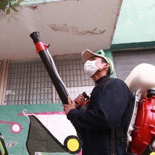 Llega Jalisco a 878 casos de dengue