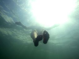 Nadará unos seis mil kilómetros en el Lago Arenal. REUTERS  /